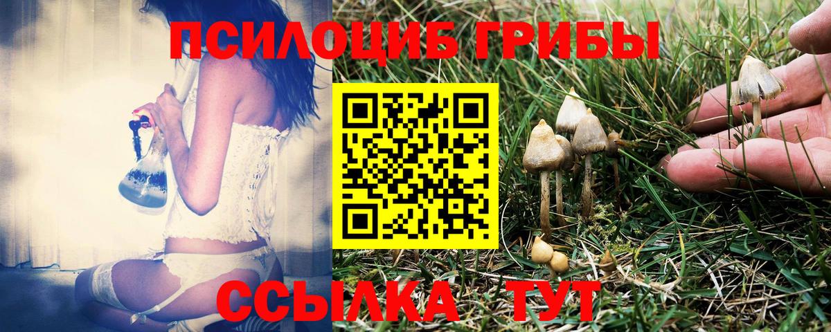 Воронеж  Галлюциногенные грибы Cubensis  Вход с VPN 
